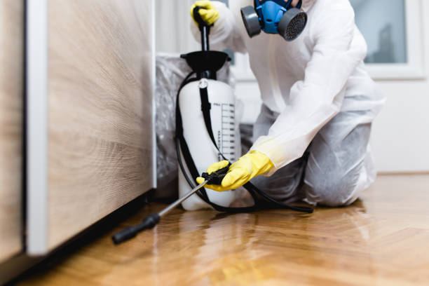 Pest Prevention Services in Cattaraugus, NY
