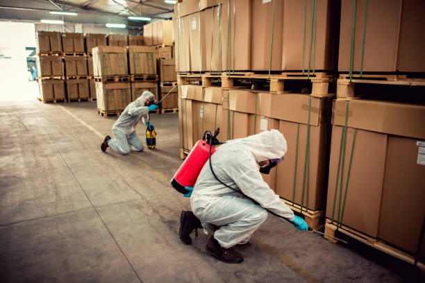 Best Flea Control Services  in Cattaraugus, NY