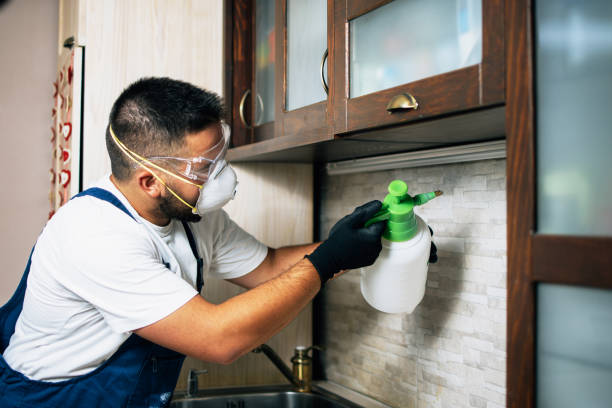 Reliable Cattaraugus, NY Pest Control Solutions