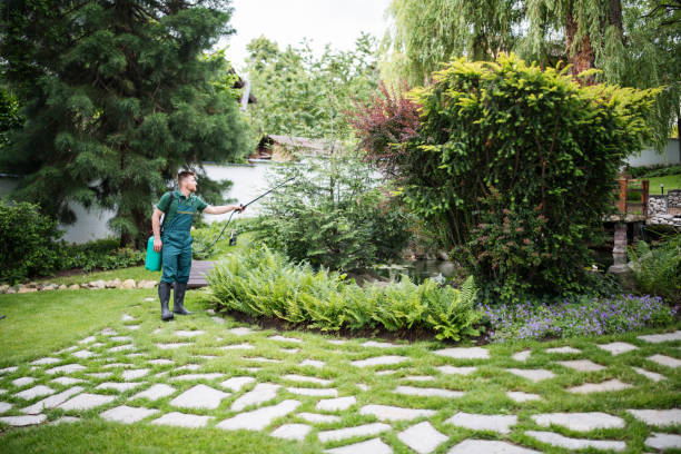  Cattaraugus, NY Pest Control Pros