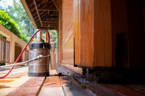 Best Pest Control for Homes  in Cattaraugus, NY